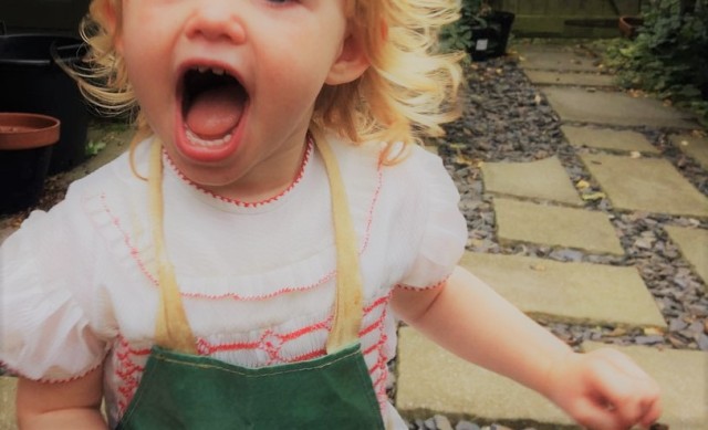 Toddler running towards the camera roaring with jaws open wide and teeth on display
