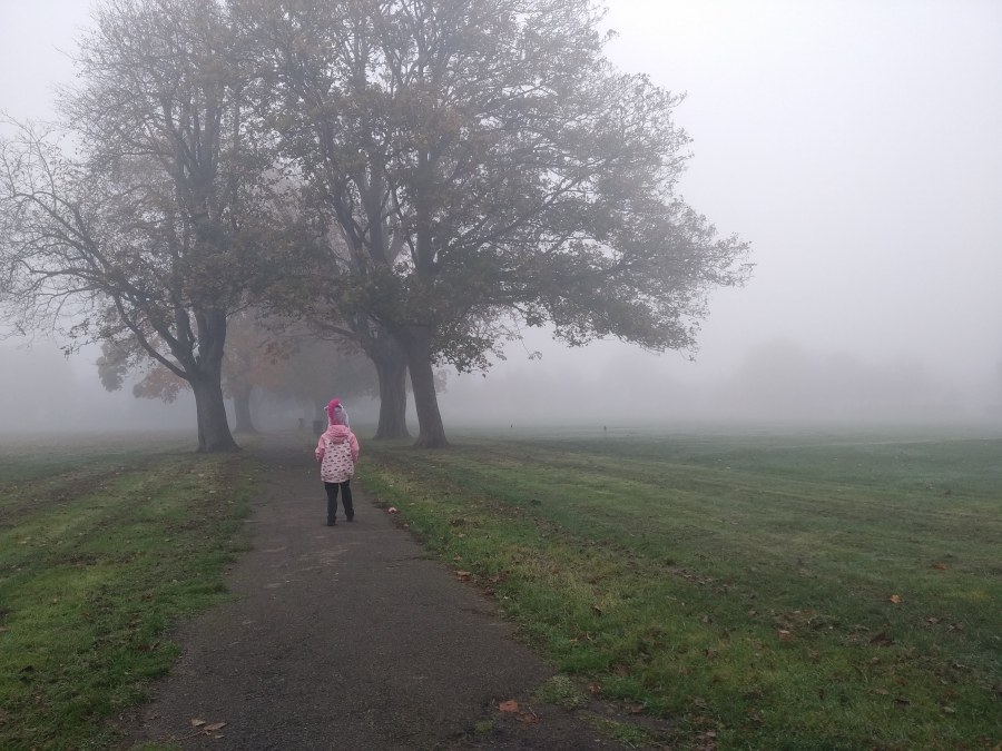 Child walking through a misty park